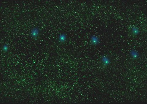 JUMBO "Big Dipper" Star pattern Poster - Glow in the Dark Stars for ceiling or wall - All night glow Invisible during the day