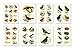 Cavallini Decorative Stickers Birds, Assorted