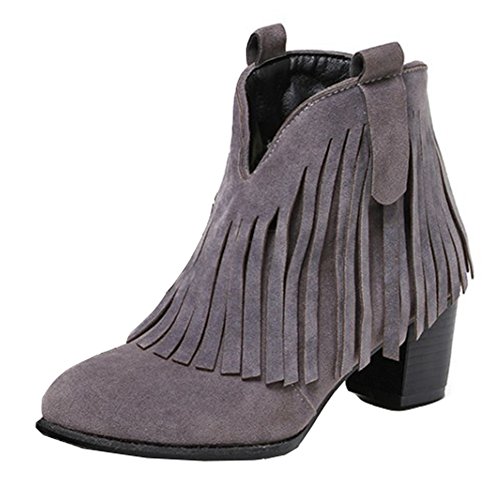CHFSO Women's Stylish Fully Fur Lined Waterproof Tassel Zipper Mid Stacked Heel Ankle Winter Warm Boots Gray 4.5 B(M) US CHFSO Women's Stylish Fully Fur Lined Waterproof Tassel Zipper Mid Stacked Heel Ankle Winter Warm Boots Gray 4.5 B(M) US