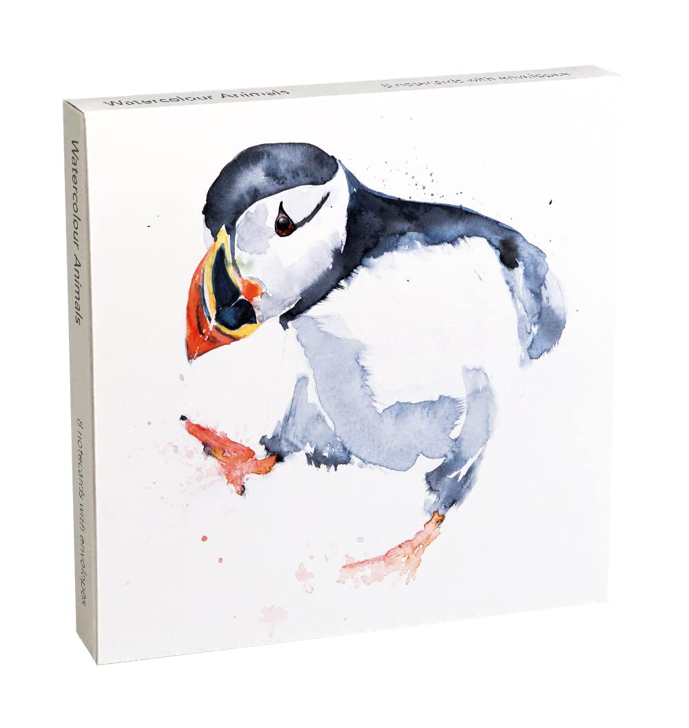 Museums & Galleries Symon Kaye Watercolour Animals Pack of 8 Square Art Greeting Cards with White Envelopes