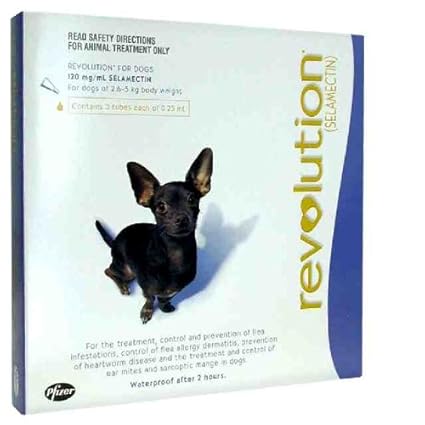 revolution for dogs amazon