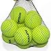 PUPTECK Squeaky Tennis Balls for Dogs, 2.5