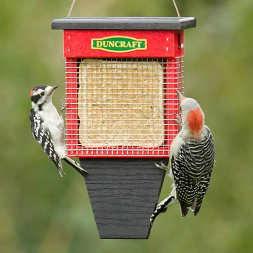 Duncraft Three Woodpecker Suet Wrap Feeder Amazon Ca Patio Lawn