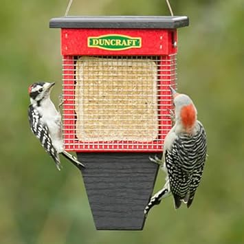 Duncraft Three Woodpecker Suet Wrap Feeder Amazon Co Uk Garden
