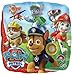 Paw Patrol The Ultimate 2nd Birthday Party Supplies and Balloon Decorations