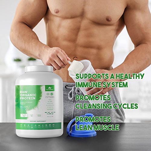 Dr. Forest Organic Hemp Protein Powder 2.2 lbs For Shakes and