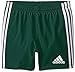 adidas Performance Boy's 3 Stripe Shorts