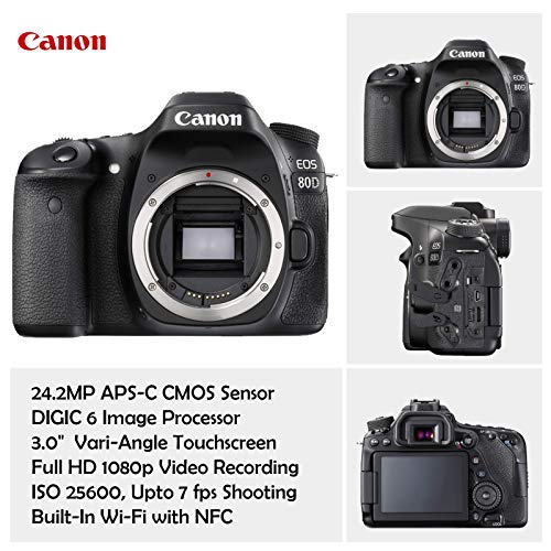 canon 80d backpack