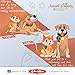 Pure Wild Alaskan Salmon & Pollock Oil for Dogs & Cats Skin and Coat - Fish Oil Liquid with Pump - Supports Joint Function & Heart Health - Omega 3 Liquid Food Supplement - All Natural EPA + DHA - 8oz