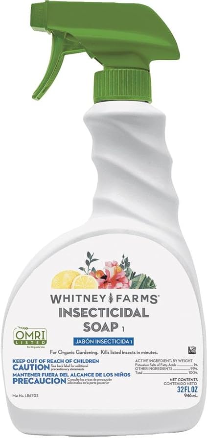 Amazon Com Scotts Company 10101 10039 Whitney Farms Insecticidal Soap 1 Each Garden Outdoor