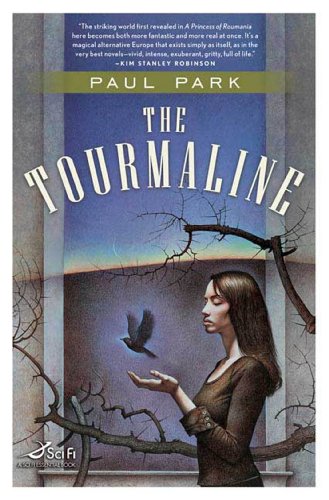 The Tourmaline (A Princess of Roumania Book 2) by Paul Park