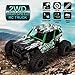 STOTOY RC Truck Remote Car,High Speed Off Road Monster Truck-1/16 Scale 2WD 2.4Ghz Radio Controlled Electric Truggy-Best Gift for Kids, Green