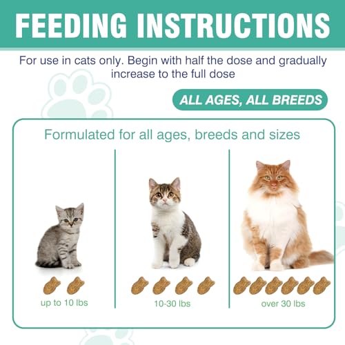 Cat Hairball Remedy Treats, 150 Soft Chews Cat Hair Ball Treatment Furball Control Relief Helps Eliminate and Prevent Hairballs for Indoor Cats Supports Skin and Coat Digestion Chicken Flavor