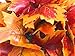 Sunrisee 2 Pcs Artificial Maple Shrubs Fake Flowers Plants Fall Maple Leaf Bunches for Halloween Home Garden Office Decor, 11.8''