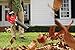 CRAFTSMAN V60* Cordless Leaf Blower (CMCBL760E1)
