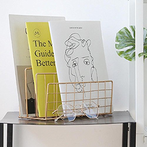 Fovolat | Nordic Style Grid Wrought Iron Newspapers and Periodicals Rack Book Magazine File Storage Rack for Home Office