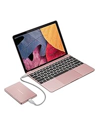 LaCie Porsche Design 1TB USB-C disco duro para teléfono celular STFD1000402   Plata, Rose gold
