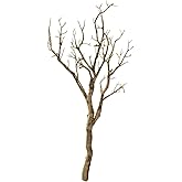 Anderson's 30 Inch Gold Glitter Manzanita Tree Branch, Garden Theme, Decorations