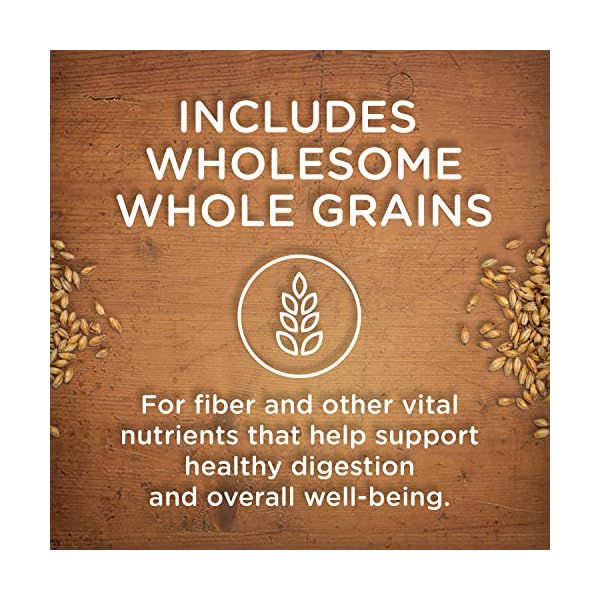 rachael ray nutrish large breed