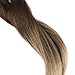 Full Shine 16 Inch Balayage Hair Extensions Human Hair Clip Extensions Ombre Color 4 Brown Fading to 18 and 27 100g 10 Pcs Full Head Clip in Extensions Remy Human Hair Clip in Hair Extensions