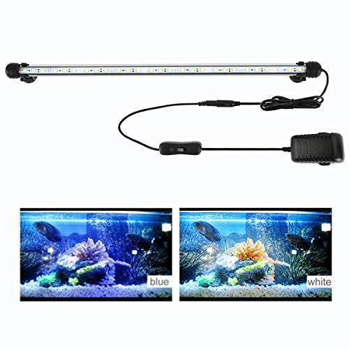 Fluorescent Aquarium Lighting