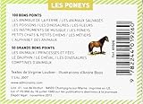 Image de bp 100 les poneys