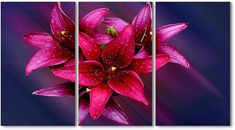 Amazon 35x50cm X3枚 アートパネル 完成品 赤い花 ユリ 花束 花びら 水滴 モダン 特大 写真 アートフレーム 絵画 壁飾り キャンバス絵画 パネル装飾画 木枠付きの完成品 ウォールステッカー オンライン通販