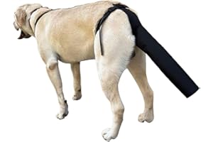 Dog Tail Protector Sleeve with Adjustable Harness — Happy Tail Injury Guard, Neoprene Tail Cover, Breathable & Washable for M