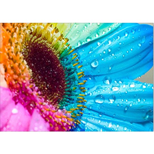 Norbi Painting With Diamonds, Rainbow Flower Embroidery Diamond by Number Kits Rhinestone Painting Cross Stitch Kit Wall Art Decor for Kids Adult Beginner