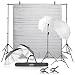Emart Photography Umbrellas Continuous Lighting Kit, 400W 5500K, 10ft Backdrop Support System with Vinyl Plastic White Wood Floor Background Screen for Photo Video Studio Shooting primary