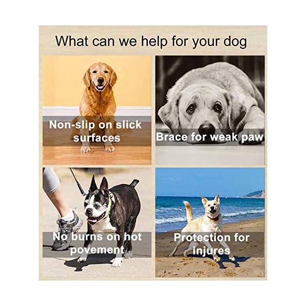 dog paw pad protector