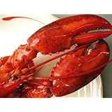 ボイル オマール300g前後 インドネシア産