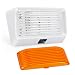 Kohree LED RV Exterior Porch Utility Light with Switch 12v Replacment Light for RVs, Trailers, Campers, 5th Wheels. 280 Lumen, White Base, Included Clear and Amber Lenses Removable