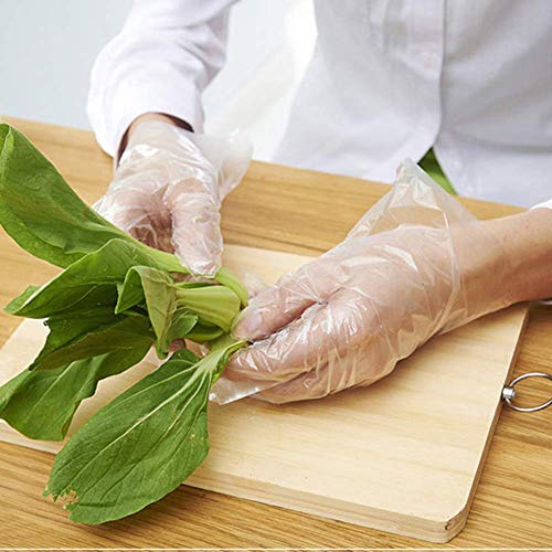 WeTest 500 Piece Disposable Food Prep Gloves Clear Plastic Gloves for Kitchen Cooking,Cleaning,Food Handling,One Size Fits All