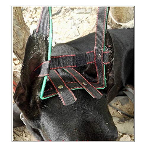 Flameer Durable Dog Ear Care Tool Ear Stand Up for Doberman Pinscher, Samoyed, Great Dane and So on - Plastics & Nylon Material S-XL to Choose - S - Thumbnail 6