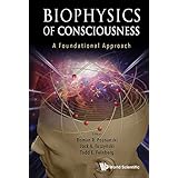 Biophysics of Consciousness