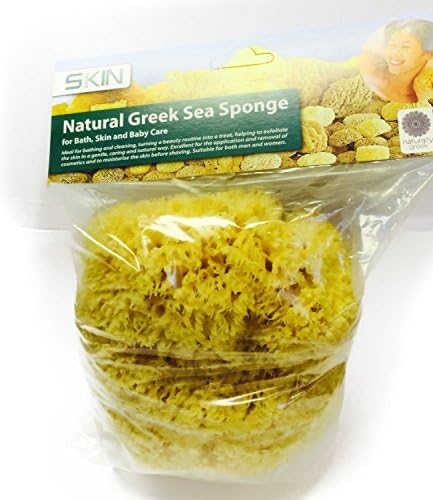 Skinapeel - Natural Honeycomb Honey Comb Hippospongia Communis Sea Sponge Natural Or Bleached Yellow (All Sizes Available) (6.5"-7.0"-NATURAL)