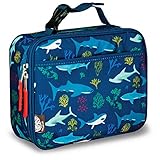 LONECONE Kids' Insulated Lunch Box - Cute Patterns for Boys and Girls, Shark Bite, Standard with Buckle