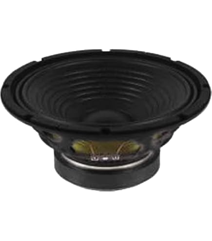 Amazon.com: Beyma Coax 6