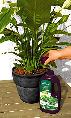 Engrais Bio Pour Plantes Vertes 1L - Spray Prêt à L'emploi - NPK 2-2-7 Avec Acides Aminés Et Oligo-éléments