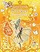 Flower Fairies Sticker Storybook