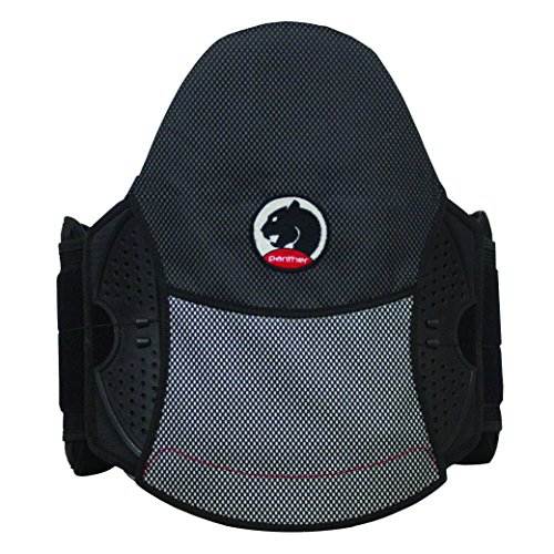 Panther SL L0650/L0637 LSO Back Brace One Size Fits All by Blue Diamond