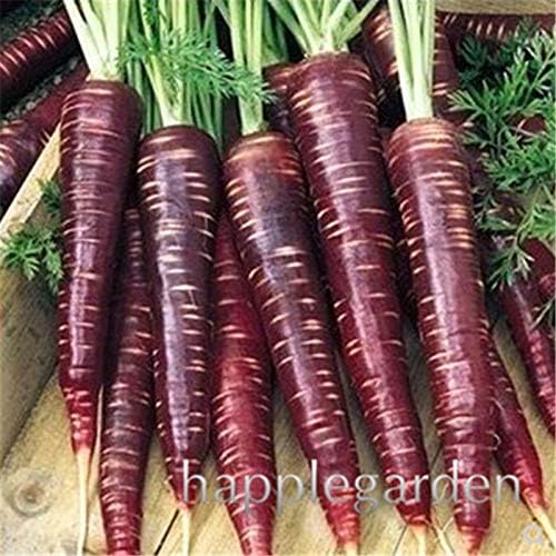 Pinkdose 200pcs Súper Gigante Zanahoria Bonsai Bonsai Vegetal de ...