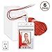 Mifflin-USA Lanyard with Vertical ID Name Holder (Red Cord, Clear 2.25x3.5 Inch Card Holder, 6 Pack)