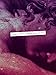 Dear Herculine (Sawtooth Poetry Prize Series)