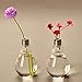 Stand Light Bulb Shape Glass Vase Flower Plant Container Pot Home Garden Decoration