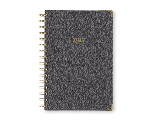 Blue Sky Carrera 5 x 8 Weekly/Monthly Planner, 2017