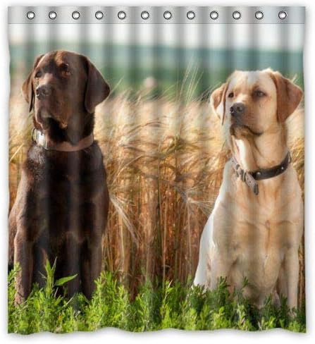 Amazon Com Fjar8 Bath Curtain Special Design Cute Labrador Retriever Waterproof Bathroom Fabric Shower Curtain Bathroom Decor 66 X 72 Home Kitchen