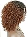 Kalyss Ombre brown Short Afro Kinky Curly Wigs for Black Women Side Curved Part Natural Looking Big,Bouncy and Super Soft Premium Synthetic Afro Curls Wigs for Women