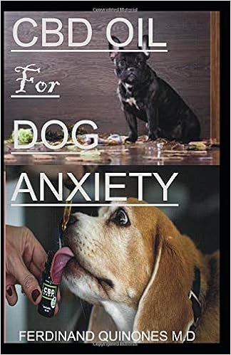 curing dog anxiety